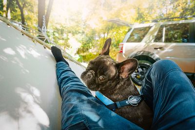 Midsection of a person and french bulldog relaxing in hammock in the forest