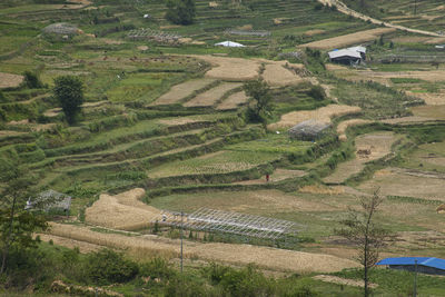 High angle view of agricultural field