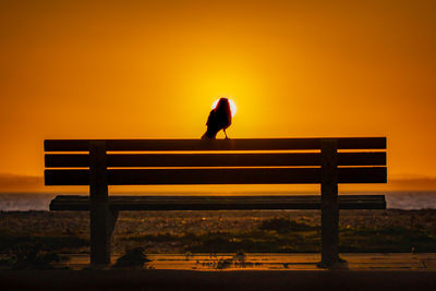 Silhouette woman standing on bench against orange sky