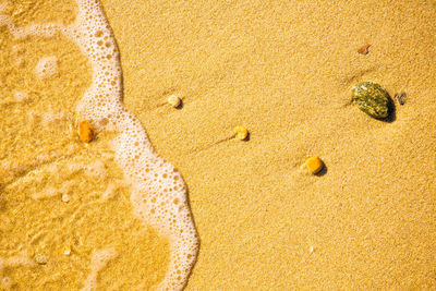 High angle view of footprints on sand