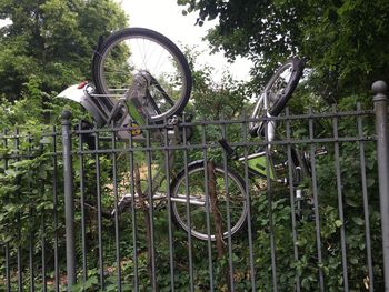 Bicycle parked by railing against trees
