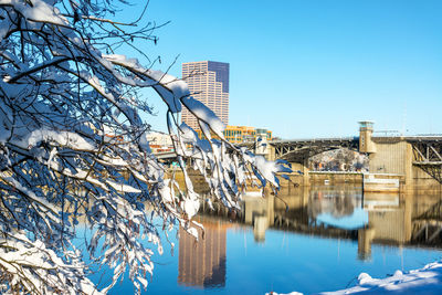 Close-up of snow covered bare tree by willamette river