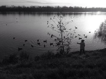 Lake with trees in background