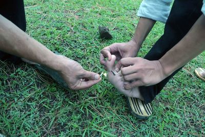 Man removing leech from human leg at grassy field