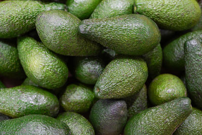 Fresh green avocado in box in the store , fresh healthy food