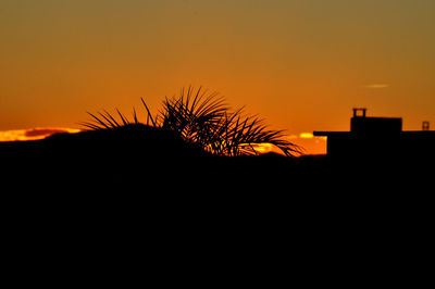 Silhouette plants against orange sky