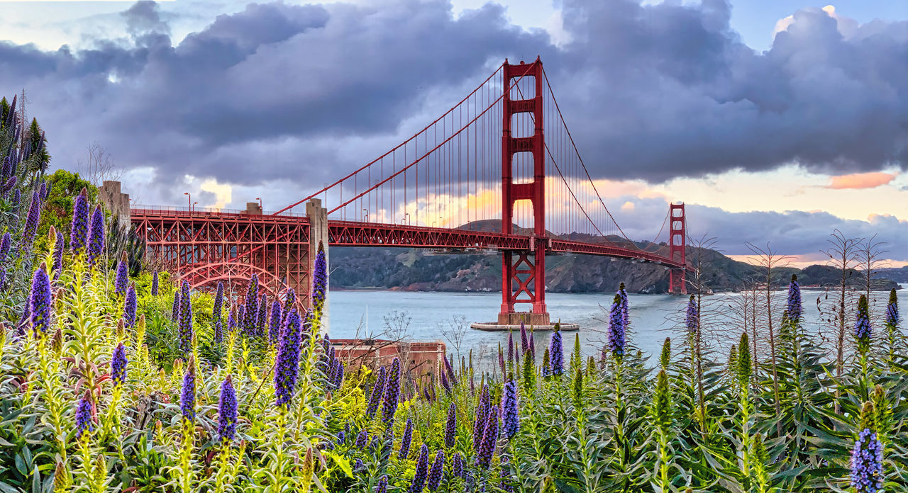 VIEW OF SUSPENSION BRIDGE IN WATER