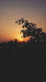 Silhouette tree against sky during sunset