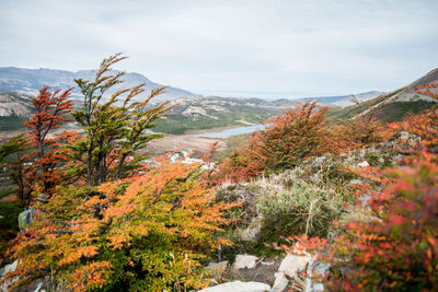 Scenic view of landscape against cloudy sky during autumn