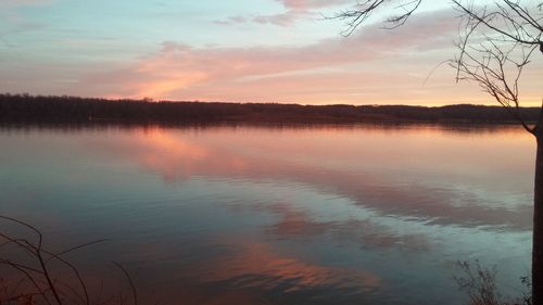 Reflection of trees in lake