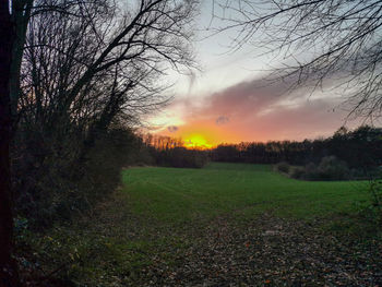 Scenic view of field against sky during sunset