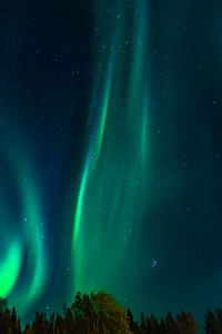 Low angle view of stars in sky at night