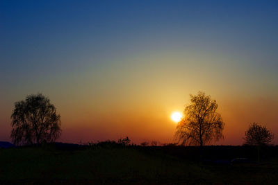 Silhouette trees on field against sky during sunset