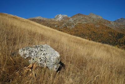 Scenic view of grassy field and mountain against clear blue sky 