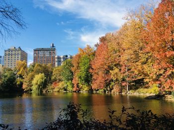 Trees by lake against sky during autumn