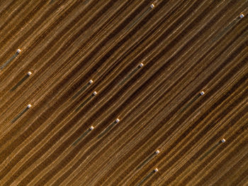 Aerial view of hay bales lying in plowed field at dusk