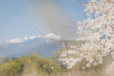 Close-up of snow covered mountain against sky