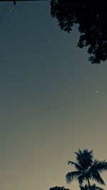 Low angle view of silhouette palm trees against sky at night