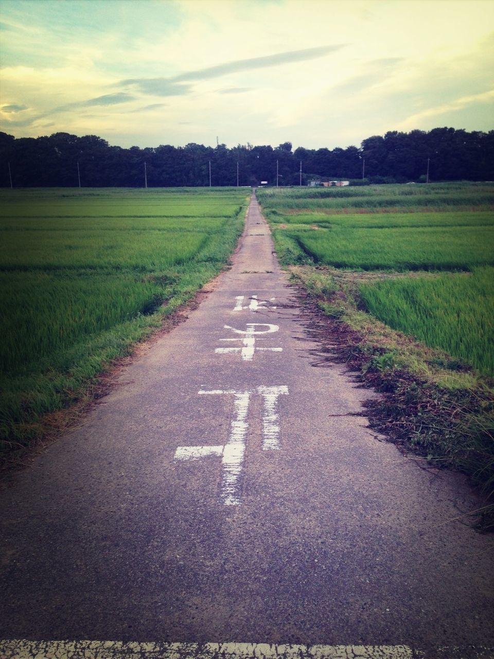 the way forward, diminishing perspective, road, vanishing point, road marking, transportation, country road, grass, asphalt, sky, landscape, empty road, field, tranquility, tranquil scene, long, empty, nature, direction, street