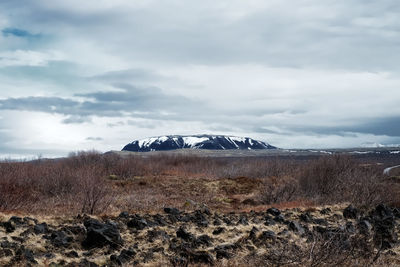 Scenic view of snowcapped field against sky