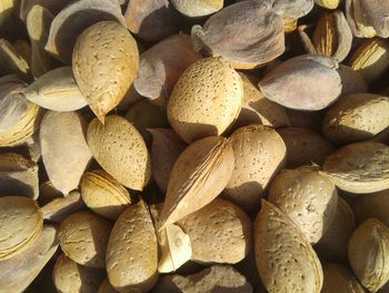 Full frame shot of nut - food for sale in market