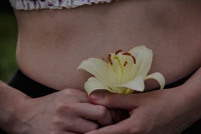 Close-up of hand holding red rose flower