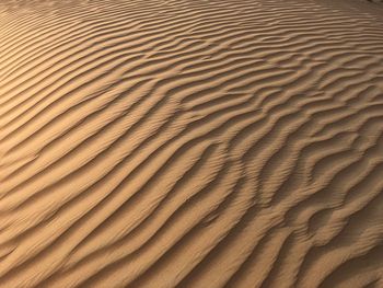 Full frame shot of sand dune