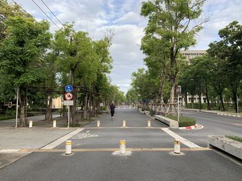 Road amidst trees and city against sky