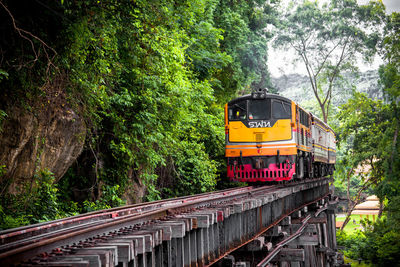 Train on railway bridge amidst trees