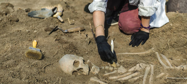 Archaeology. exhumation of an ancient human skeleton