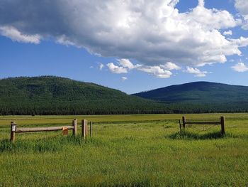 Scenic view of field against sky