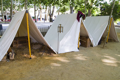 Clothes drying on sand against trees