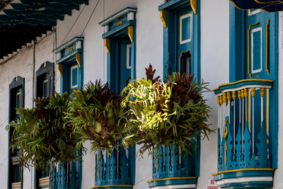 Houses at the heritage town of salamina located at the caldas department in colombia.