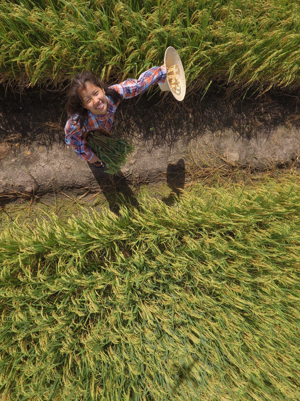 HIGH ANGLE VIEW OF MAN PLAYING ON GRASSY FIELD