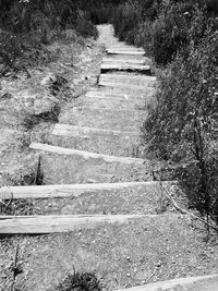 Full frame shot of cobblestone