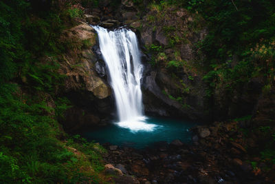 Scenic view of waterfall in forest