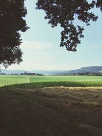Scenic view of field against sky