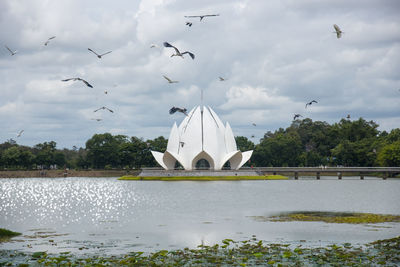 Seagulls flying over lake against sky