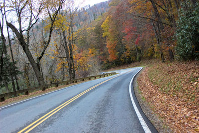 Road amidst trees in forest during autumn