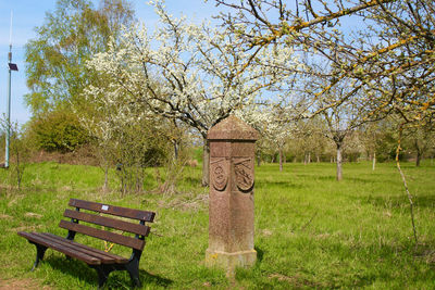 Empty bench in park