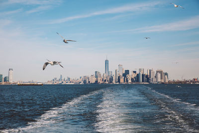 Birds flying over sea in city against sky