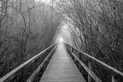 View of footbridge in forest