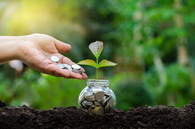 Cropped hand putting coins in jar