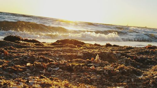 Close-up of shore against clear sky