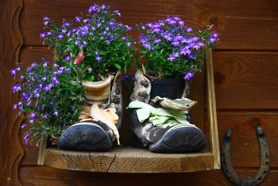 Flowers and plants on table