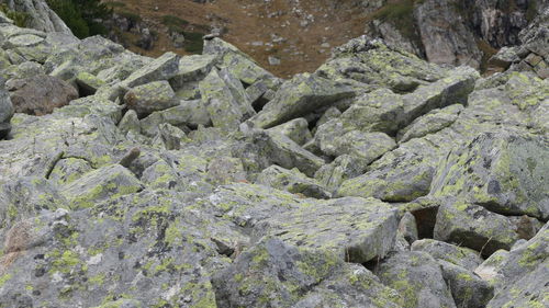 Rock formation on land