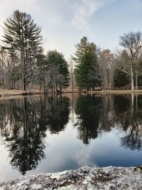 Scenic view of lake by trees against sky