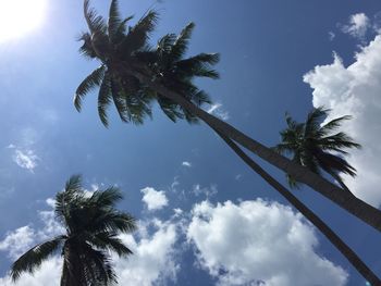 Low angle view of palm trees against blue sky