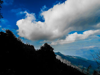 Scenic view of trees against sky