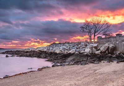 Bare tree on rocks against sky during sunset